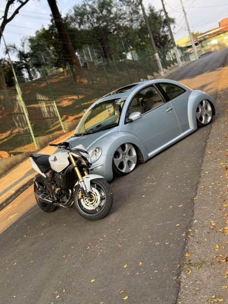 New beetle + Hornet